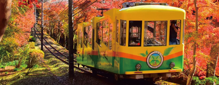 インスタ映えキャンペーン実施高尾山もみじまつり｜SAK University 東京イノベーションキャンパス Discovery Days